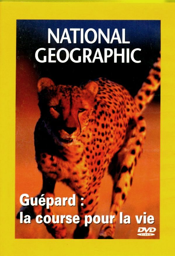Livrenpoche : National Geographic : Guépard, la course pour la vie - XXX - DVD