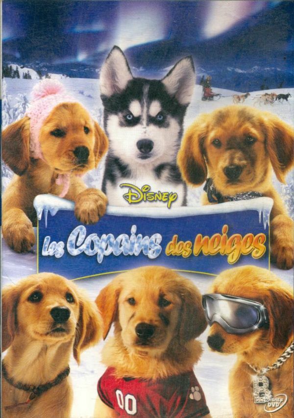 Livrenpoche : Les Copains des neiges - Robert Vince - DVD