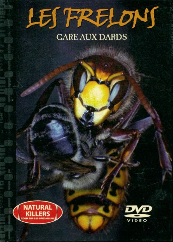 Livrenpoche : Les frelons: gare au dards - XXX - DVD