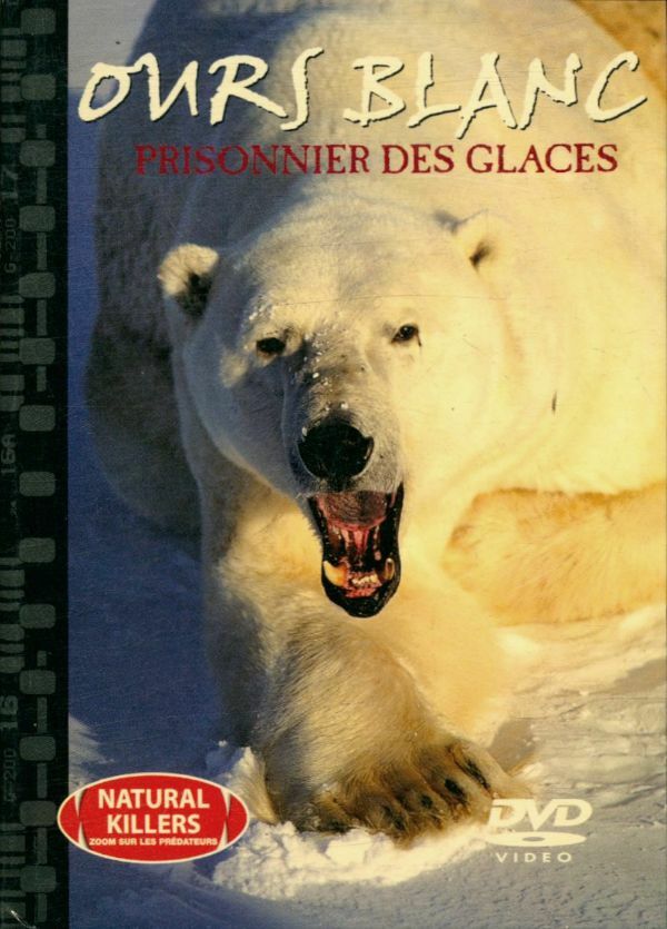 Livrenpoche : L'ours blanc, prisonnier des glaces - XXX - DVD