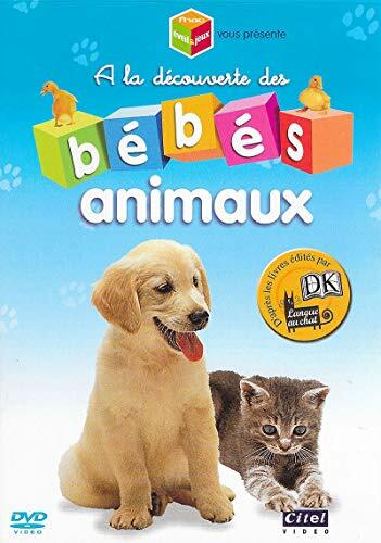 Livrenpoche : A la decouverte des bebes animaux - XXX - DVD