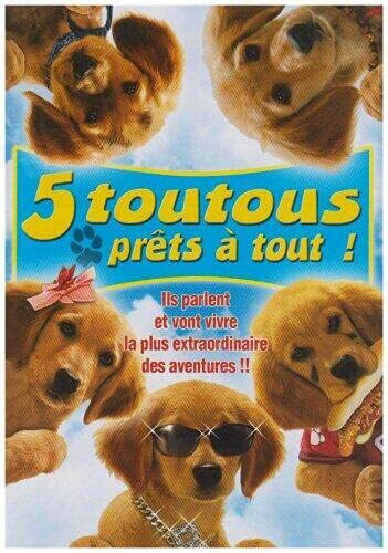 Livrenpoche : 5 toutous prêts à Tout - Robert Vince - DVD