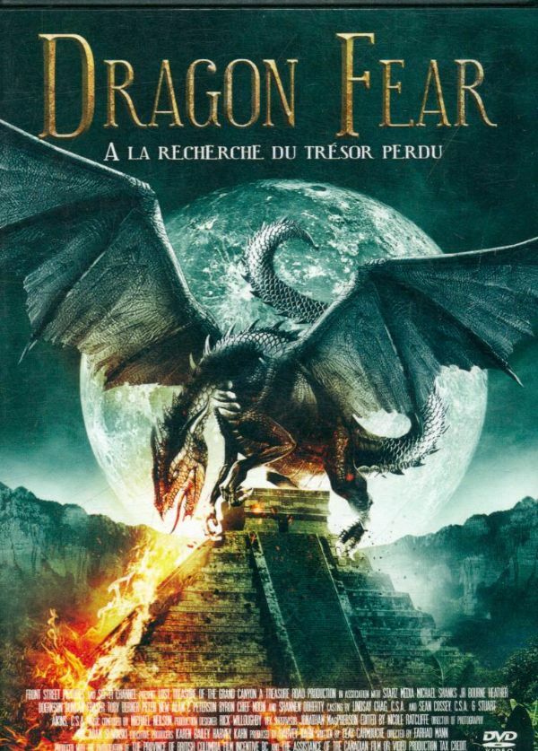 Livrenpoche : Dragon Fear-A la Recherche du trésor Perdu - Farhad Mann - DVD