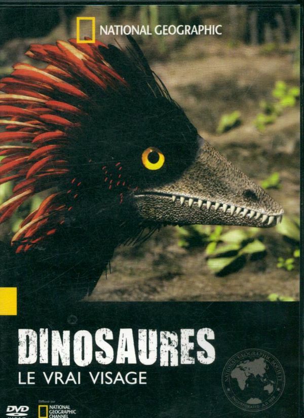 Livrenpoche : Dinosaures - XXX - DVD