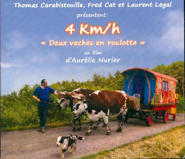 Livrenpoche : 4 km/h - XXX - DVD