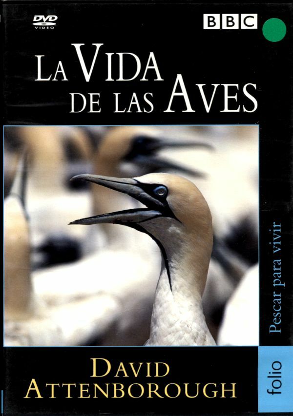 Livrenpoche : La vida de las aves - XXX - DVD