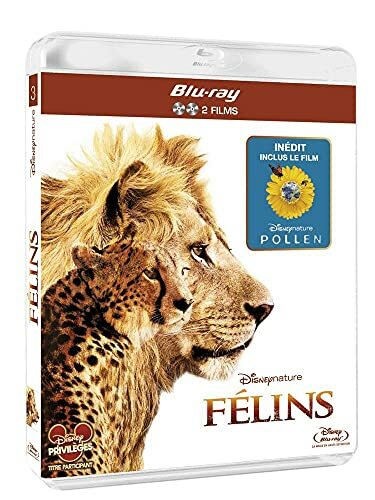 Livrenpoche : Félins. Inclus le documentaire pollen - Scholey, Keith, Fothergill, Alastair - DVD