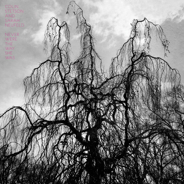Livrenpoche : Colin Stetson & Sarah Neufeld - Never Were The Way She Was - Colin Stetson & Sarah Neufeld - CD