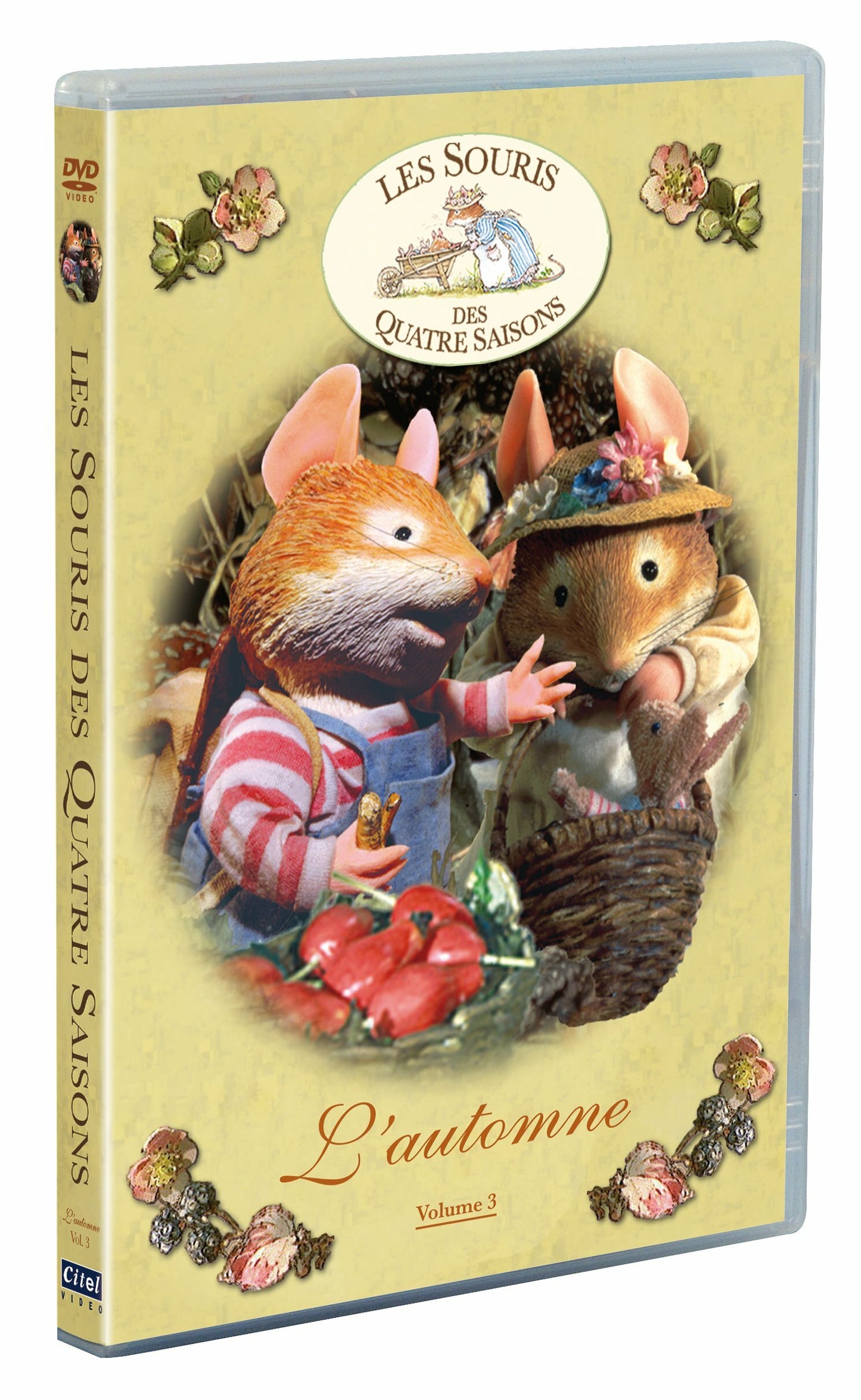 Livrenpoche : Les Souris des 4 Saisons : l'automne - XXX - DVD
