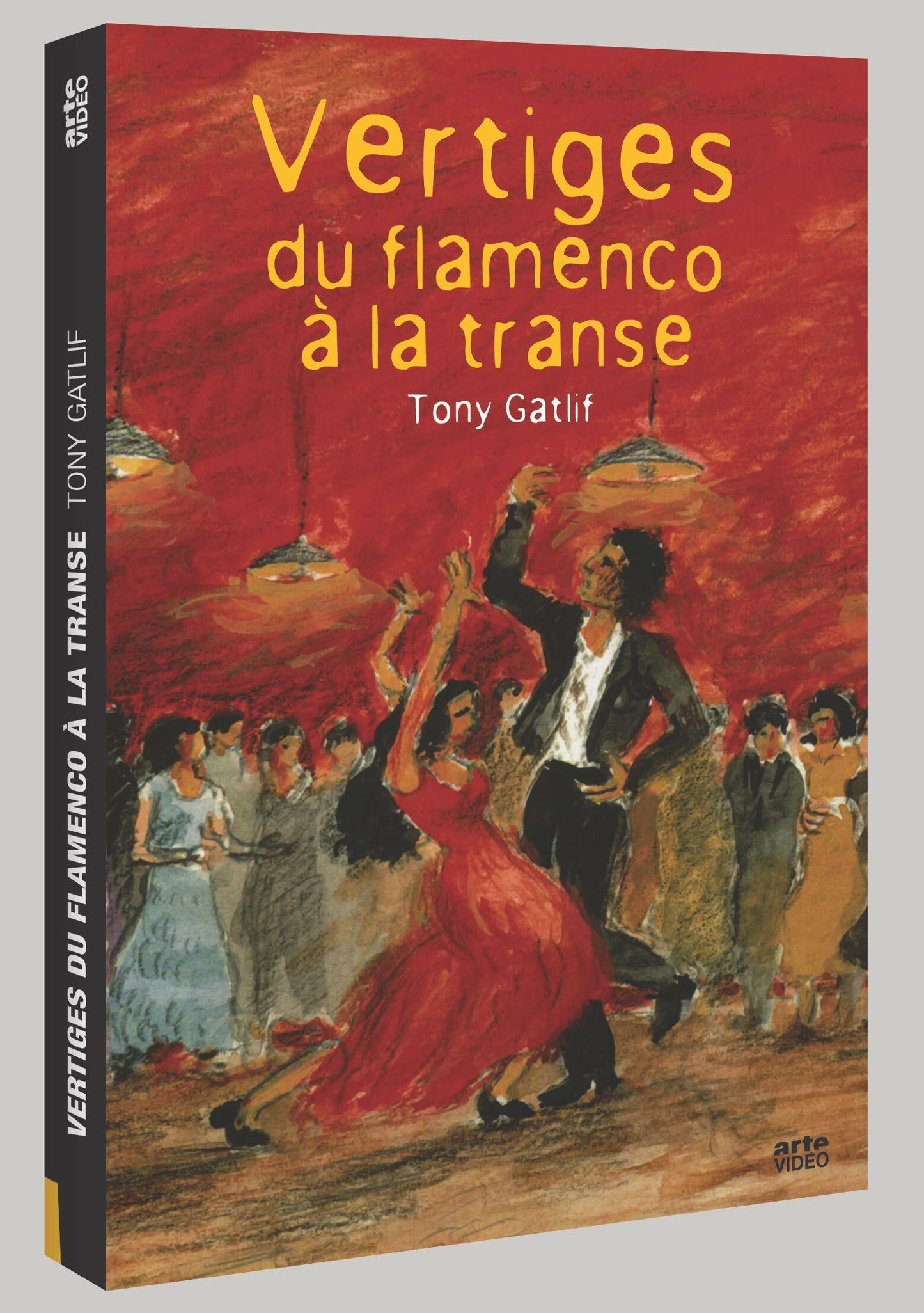Livrenpoche : Vertiges : Du flamenco à la transe - Tony Gatlif, Denis Caiozzi - DVD