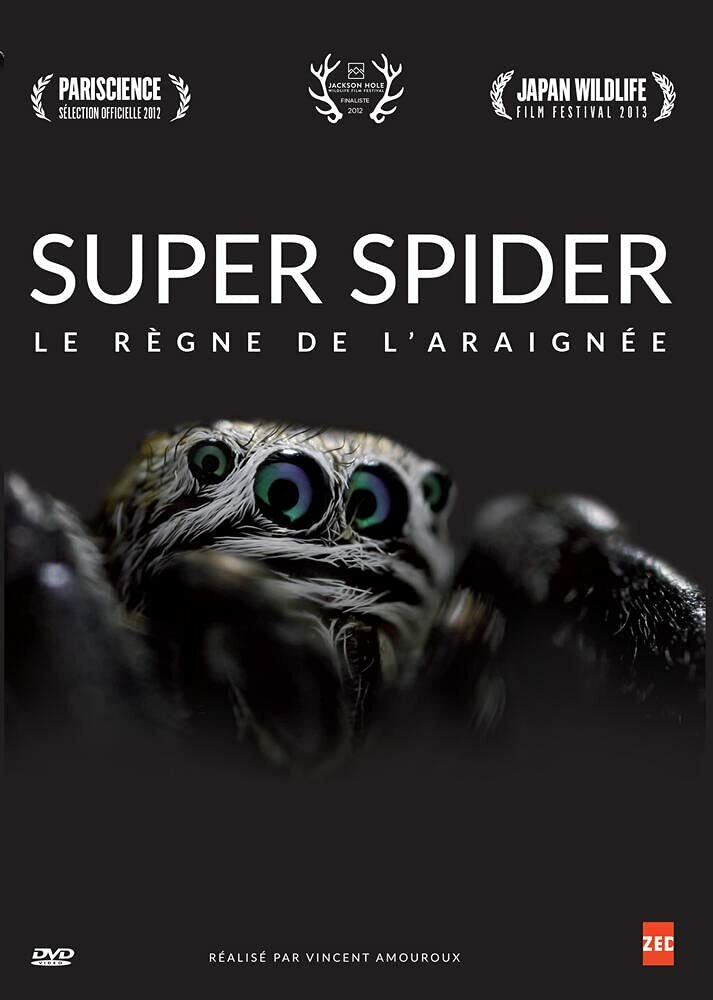 Livrenpoche : Super spider : Le règne de l'araignée - Vincent Amouroux - DVD