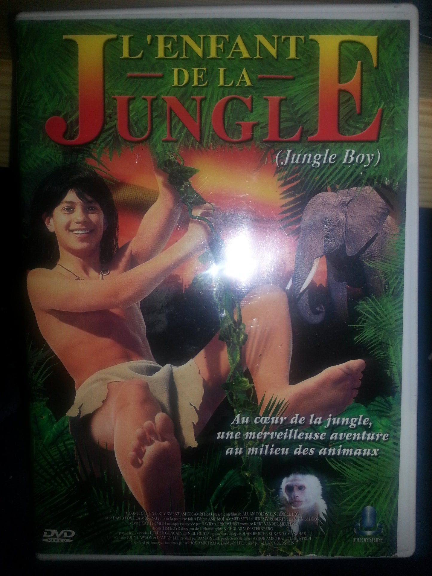 Livrenpoche : l'enfant de la Jungle - Allan A. Goldstein - DVD
