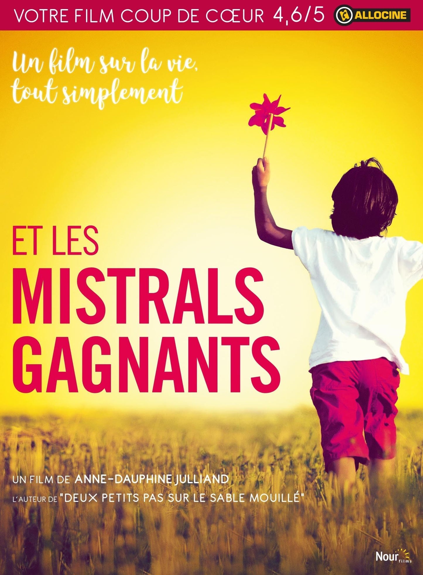 Livrenpoche : Et Les Mistrals Gagnants - Anne-Dauphine Julliand - DVD