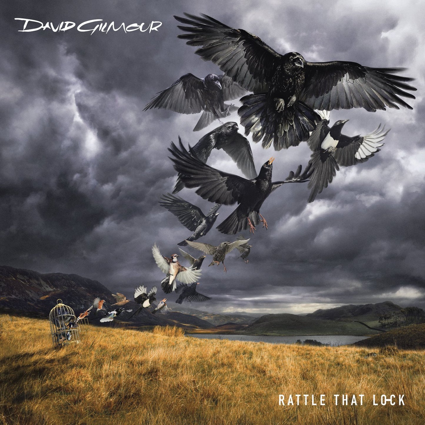 David Gilmour - Rattle that lock - David Gilmour - CD
