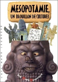 Mésopotamie, un brouillon de cultures - Sophie Cluzan, Renaud Alberny - Livre