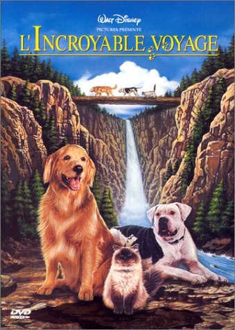 l'incroyable Voyage - Duwayne Dunham - DVD