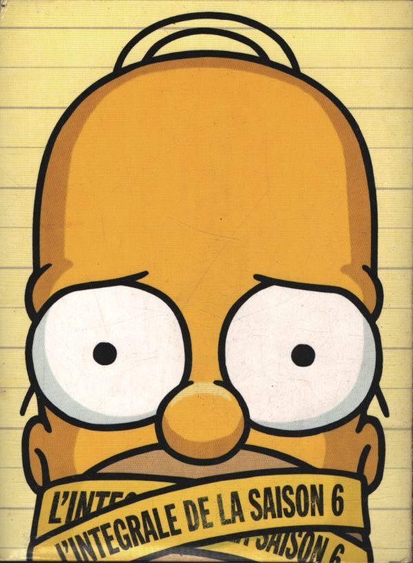 Les Simpson. Intégrale Saison 6 - XXX - DVD