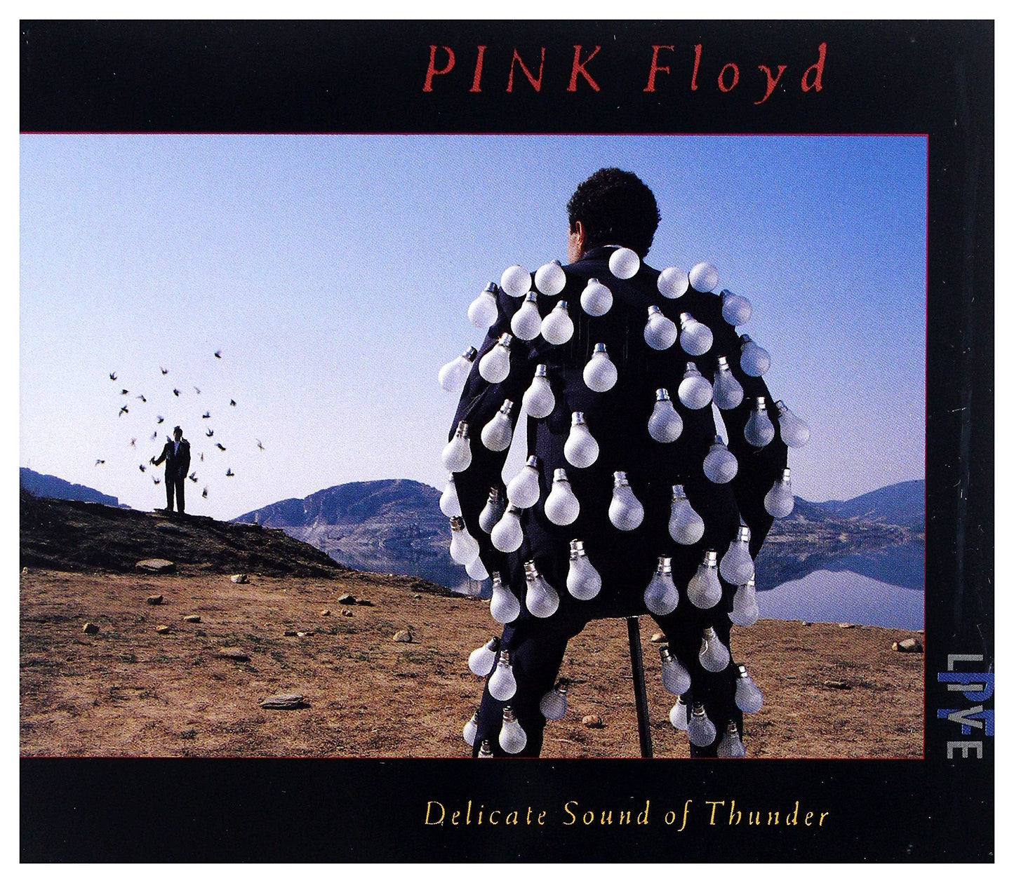 Pink Floyd - Delicate sound of thunder - Pink Floyd - CD