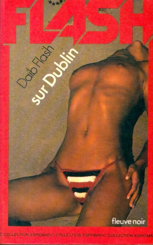Livrenpoche : Flash sur Dublin - Daib Flash - Livre