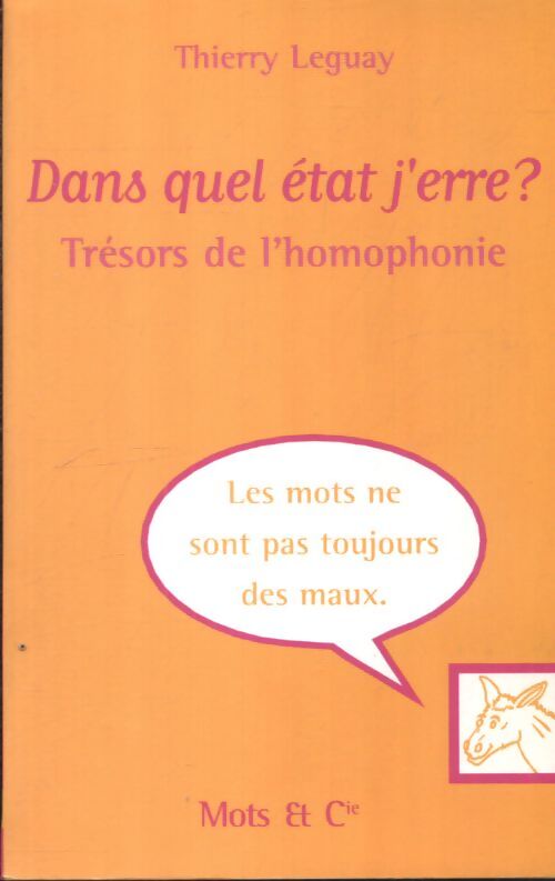 Dans quel état j'erre ? - Thierry Leguay - Livre