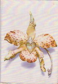 Livrenpoche : L'araigne - Henri Troyat - Livre