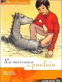 Livrenpoche : Clara et les poneys Tome III : La naissance du poulain - Mireille Mirej - Livre