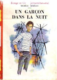 Livrenpoche : Un garçon dans la nuit - Michèle Arnéguy - Livre