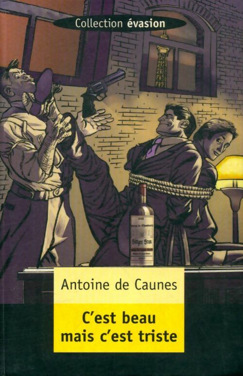 Livrenpoche : C'est beau, mais c'est triste - Antoine De Caunes - Livre