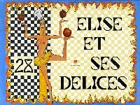 Livrenpoche : Elise et les délices - Elise Collet-Soravito - Livre