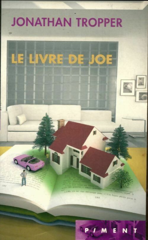 Le livre de Joe - Jonathan Tropper - Livre