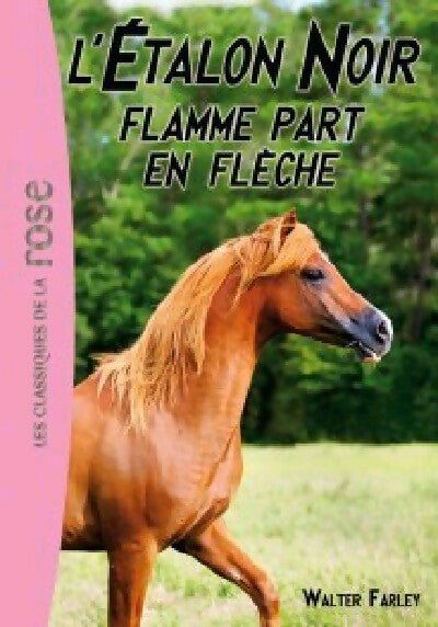 L'étalon Noir Tome XII : Flamme part en flèche - Walter Farley - Livre