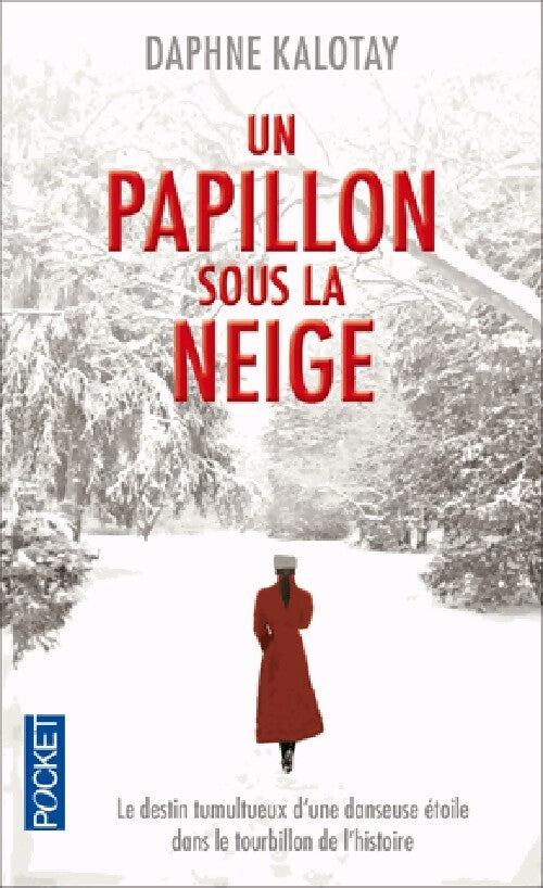 Livrenpoche : Un papillon sous la neige - Daphine Kalotay - Livre