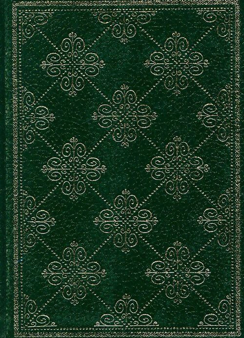 Livrenpoche : Méchamment les oiseaux - Suzanne Prou - Livre