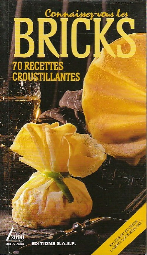 Livrenpoche : Connaissez-vous les bricks - Lissou Nodier-Zeitoun - Livre