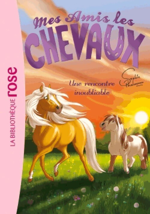 Livrenpoche : Mes amis les chevaux Tome VI : Une rencontre inoubliable - Collectif - Livre