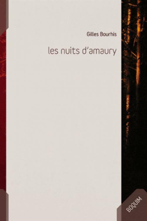 Livrenpoche : Les nuits d'Amaury - Gilles Bourhis - Livre