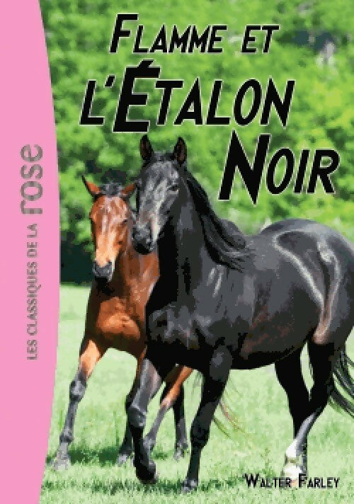 Livrenpoche : Flamme et l'étalon noir - Walter Farley - Livre