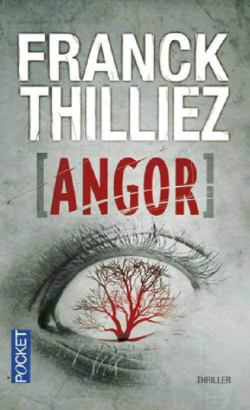 Livrenpoche : Angor - Franck Thilliez - Livre
