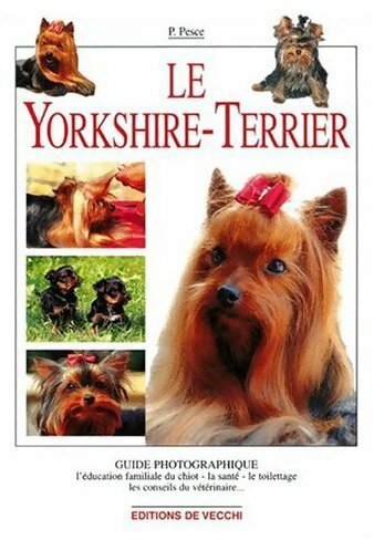 Livrenpoche : Le Yorkshire-Terrier - Paola Pesce - Livre