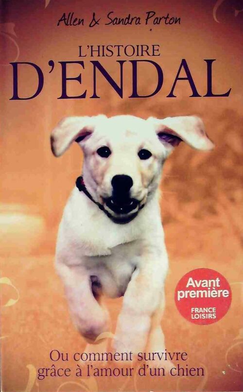Livrenpoche : L'Histoire d'Endal - Allen Parton - Livre