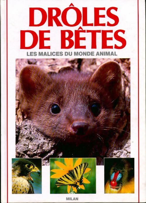 Livrenpoche : Drôles de bêtes - Patrice Amen - Livre