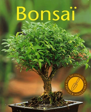 Livrenpoche : Bonsaï - Patrick Mioulane - Livre