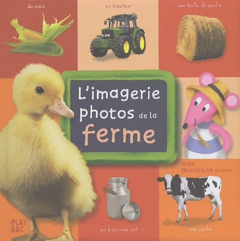 Livrenpoche : L'imagerie de la Bible - Emilie Beaumont - Livre