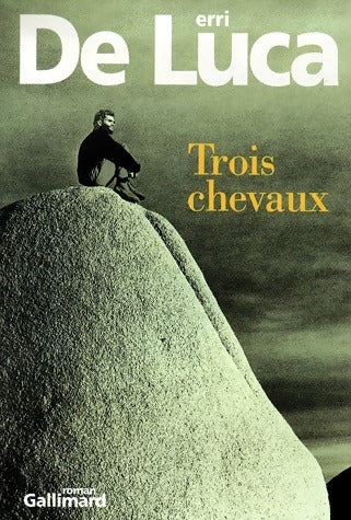 Livrenpoche : Trois chevaux - Erri De Luca - Livre