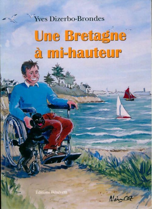 Livrenpoche : Une Bretagne à mi-hauteur - Yves Dizerbo-Brondes - Livre