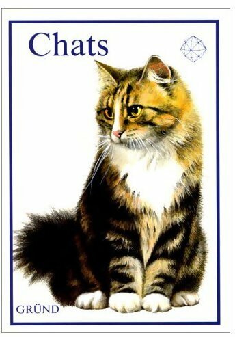 Livrenpoche : Chats - Albert Pintera - Livre
