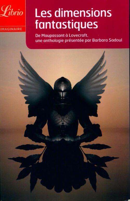 Livrenpoche : Les dimensions fantastiques - Barbara Sadoul - Livre