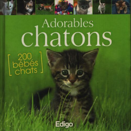 Adorables chatons - Collectif - Livre