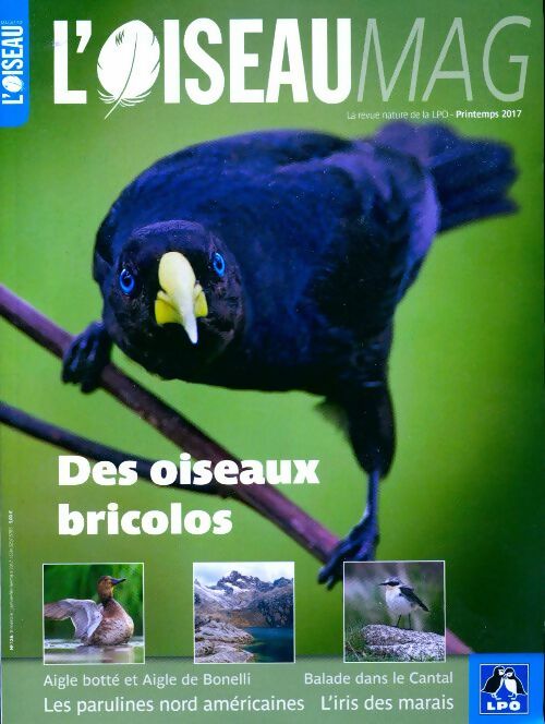 Livrenpoche : L'oiseau mag n°126 : Des oiseaux bricolos - Collectif - Livre