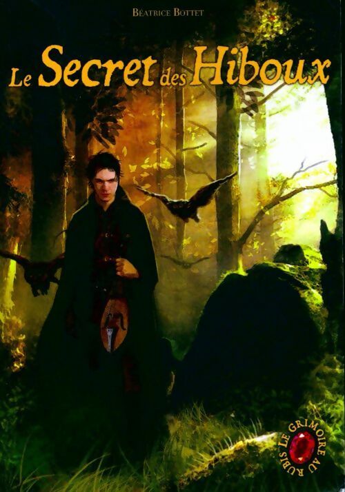 Livrenpoche : Le grimoire au rubis Tome I : Le secret du hibou - Béatrice Bottet - Livre